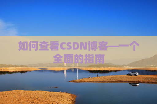如何查看CSDN博客—一个全面的指南